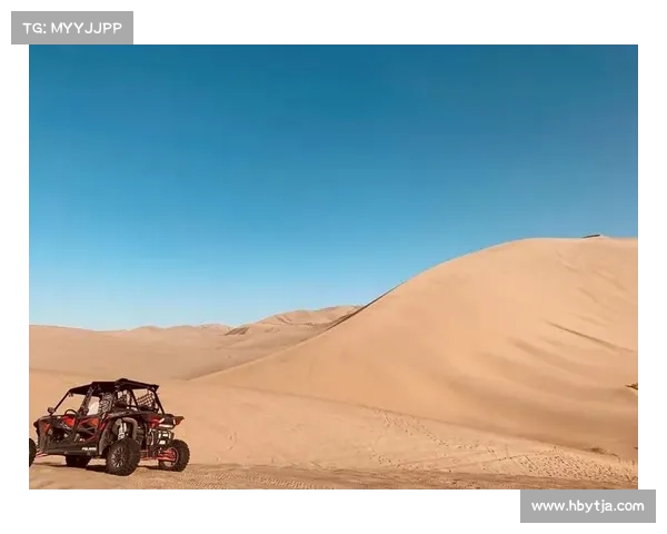 绿洲探秘:征服沙漠的指南 绿洲探秘:征服沙漠的指南